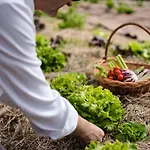 Grad - Relais Chateaux 5* Otocec