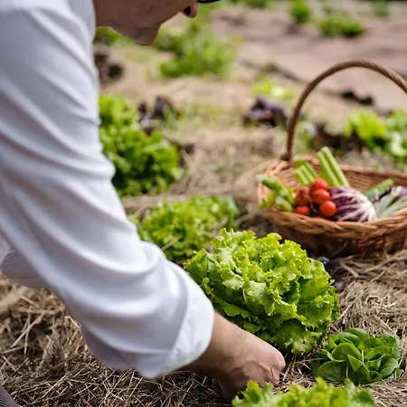 Grad - Relais Chateaux 5* Otočec