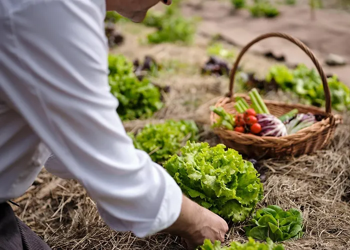 Grad - Relais Chateaux 5* Otočec